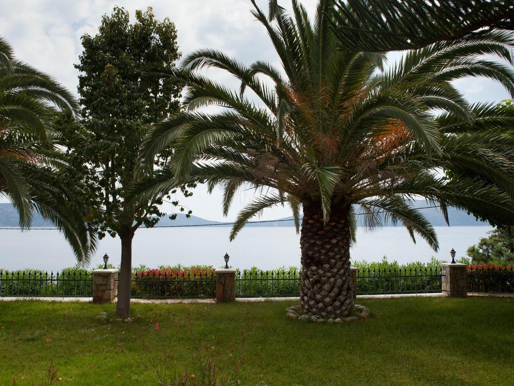 Alonissos Muses Villas Kalamákia Kültér fotó