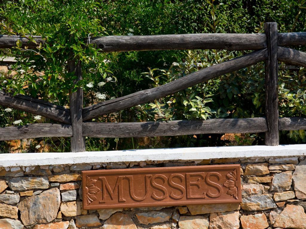 Alonissos Muses Villas Kalamákia Kültér fotó